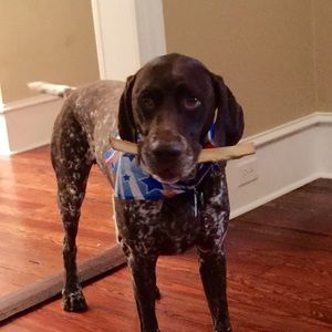 Meet your Posher, Dan